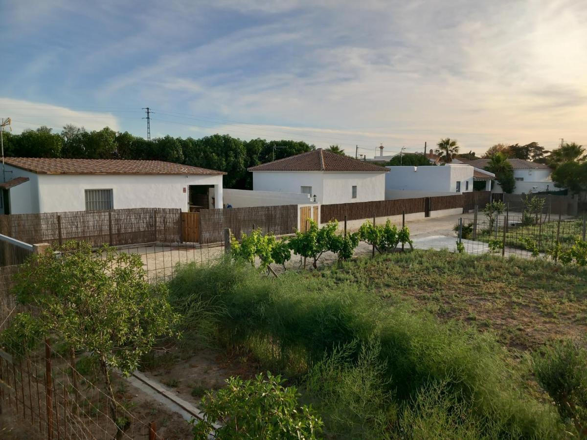 Apartamentos Cala Isabel Zahora Dış mekan fotoğraf